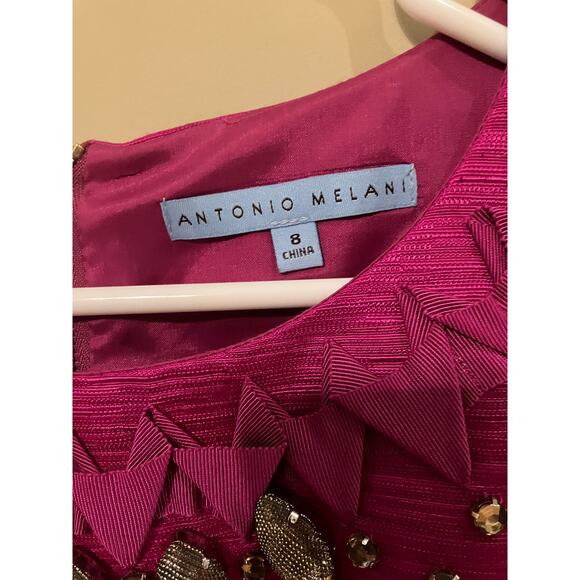 Antonio Melani Dress 8 Dark Pink Sleeveless Knee Length Pockets Office Church - Picture 5 of 6